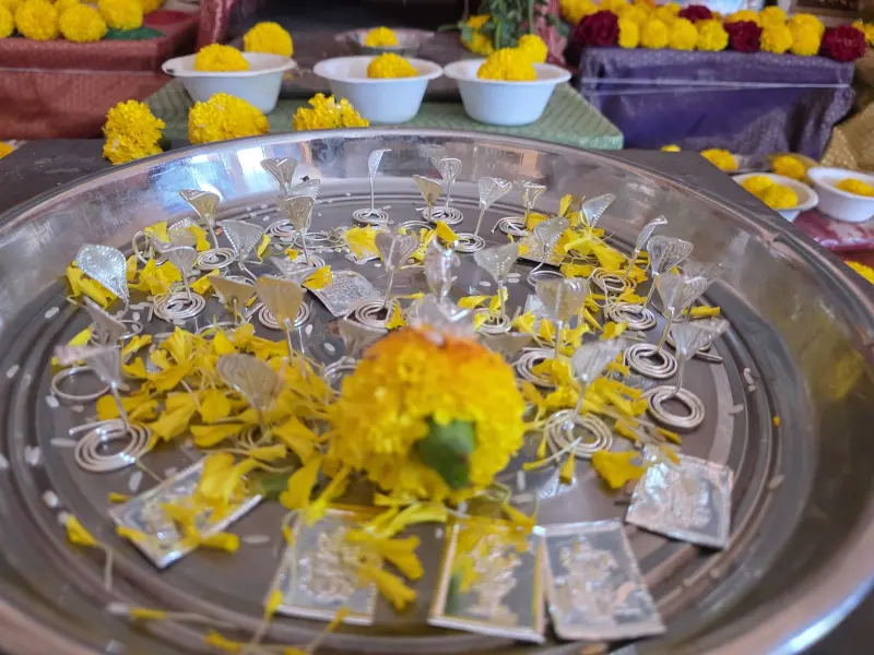 The Kaal Sarp puja thali: silver naag pratimas, marigold and offerings
